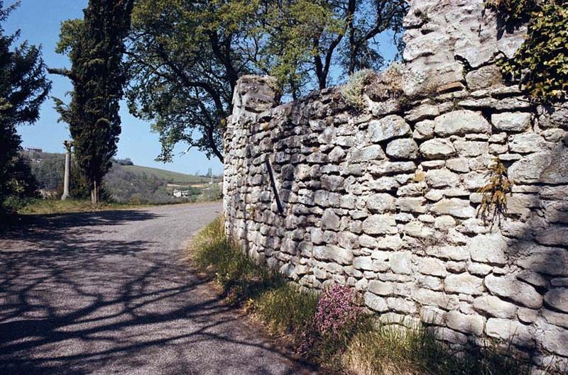 Détail mur d'enceinte, appareil.