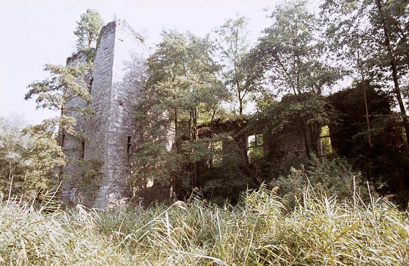 Tour et mur d'enceinte, vue de l'extérieure.