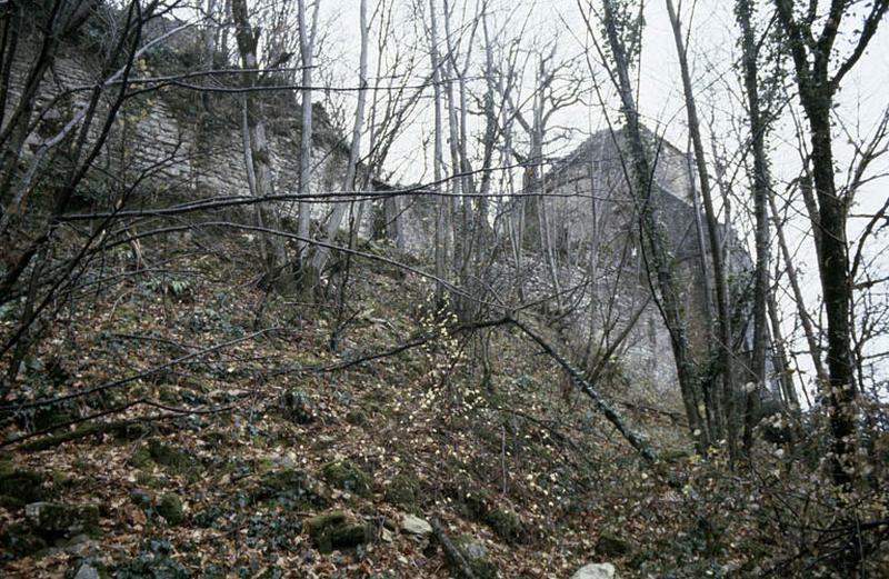 Tour et mur d'enceinte.