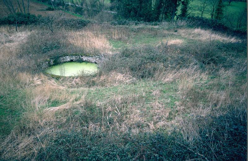 Jardins avec pièce d'eau.