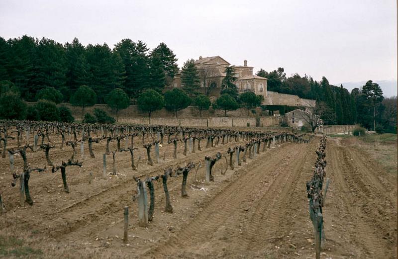 Vue d'ensemble avec jardins.