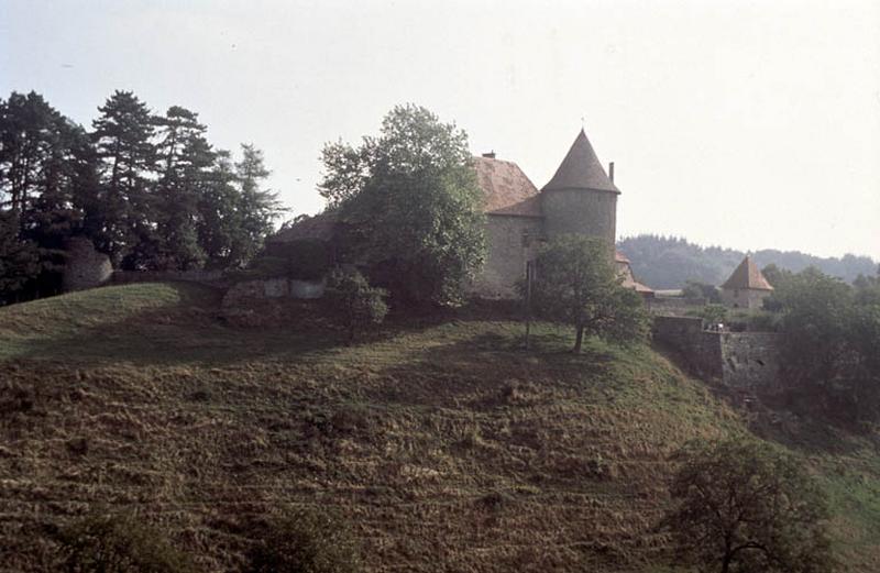 Vue d'ensemble, château et vestiges de tours.