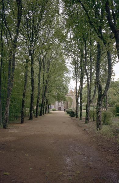 Parc, allée centrale arborée.