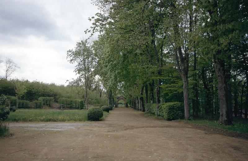 Parc, allée centrale arborée.