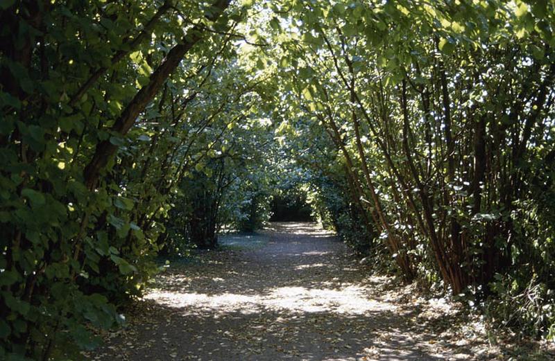 Parc, allée arborée.