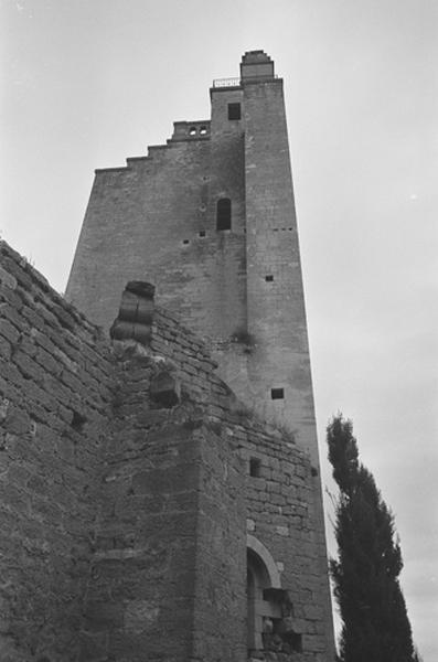 Donjon, vue de trois quart.