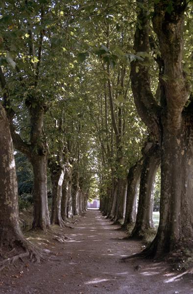 Allée cochère arborée.