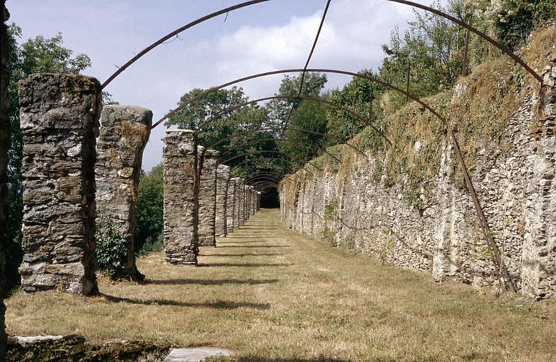 Ancienne allée couverte sous berceau de verdure.