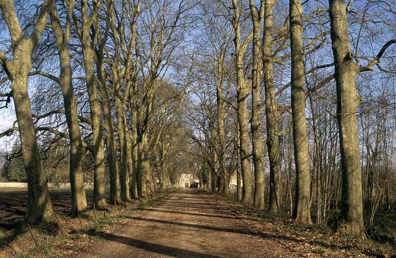 Allée centrale arborée.