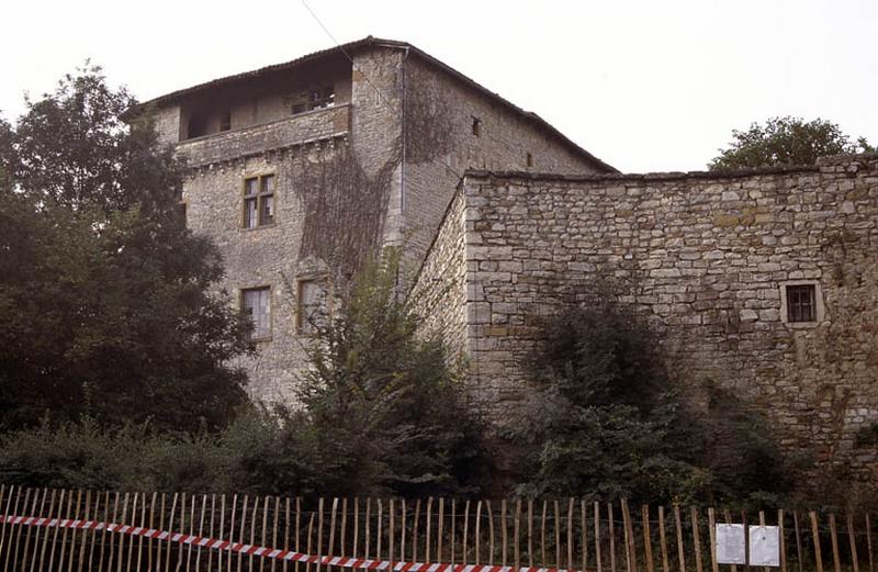 Donjon - Logis et Courtine, façade Nord.