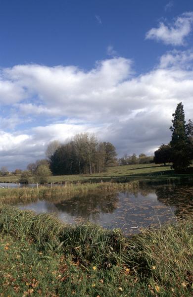 Parc et pièce d'eau.