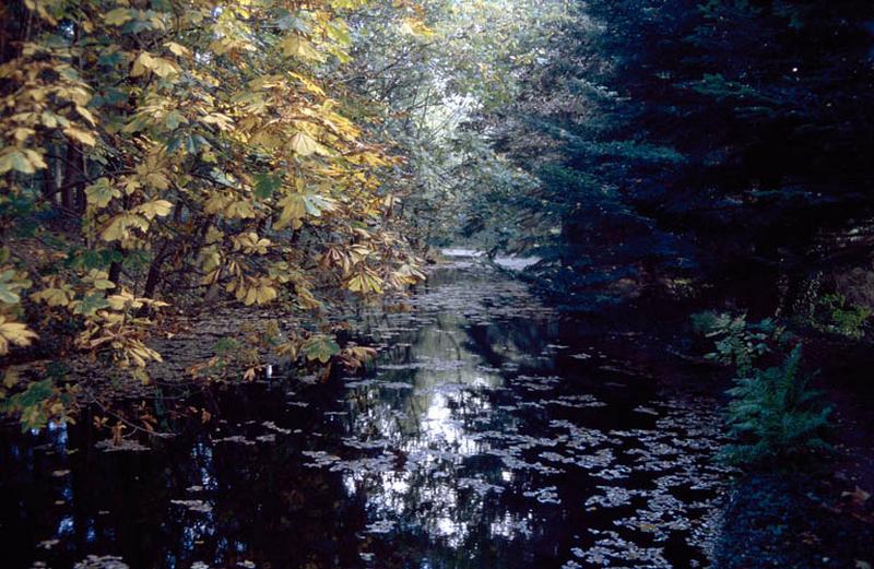 Pièce d'eau située au Nord.