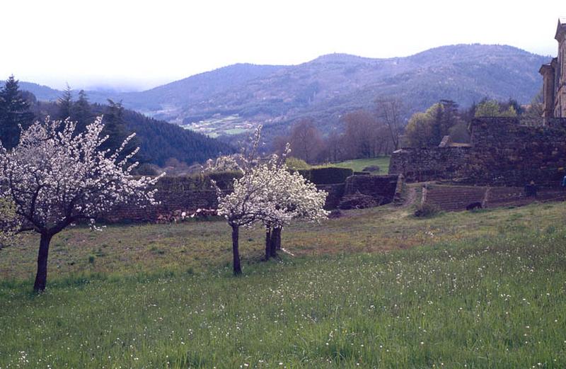 Site vers l'Ouest à partir du verger.