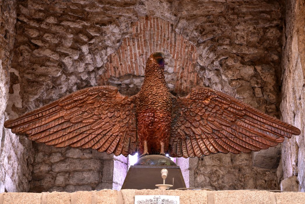 aigle de lutrin, vue générale