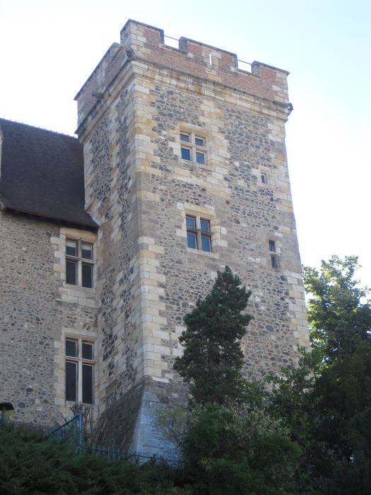 Château des ducs de Bourbon : Tour ouest, vue générale