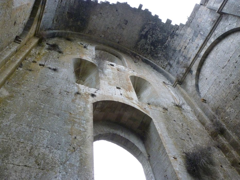 façade ouest, revers (côté nef), vue générale