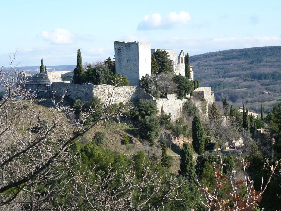 vue générale du château dans son environnement depuis l’Ouest