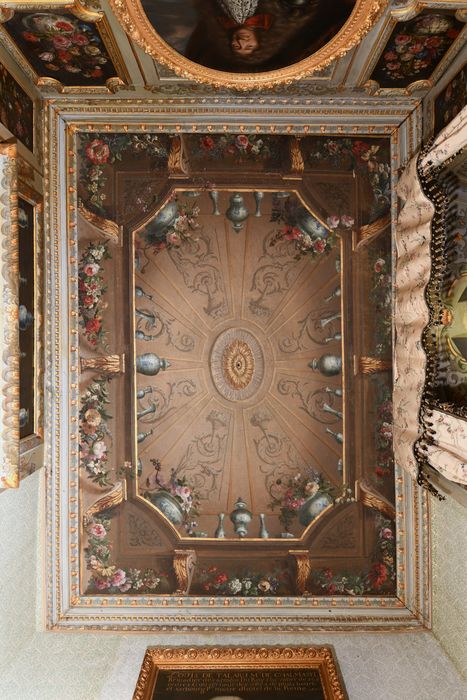 cabinet du rez-de-chaussée, plafond