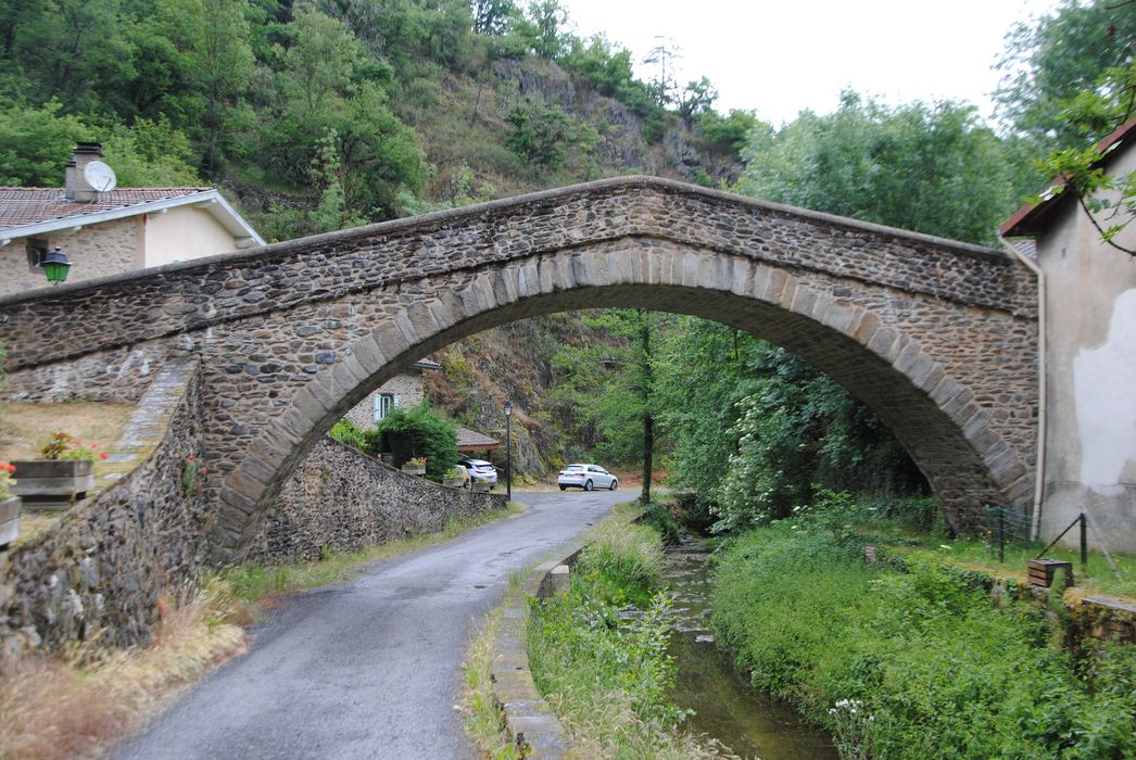 vue générale depuis l’amont