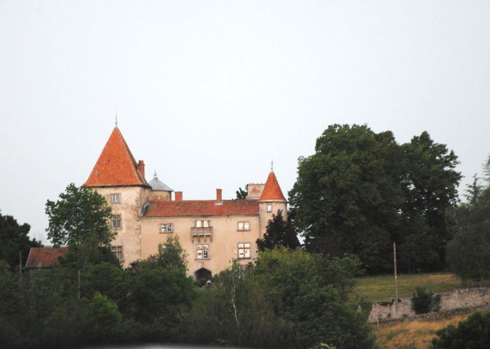 vue partielle du château dans son environnement depuis l’Est