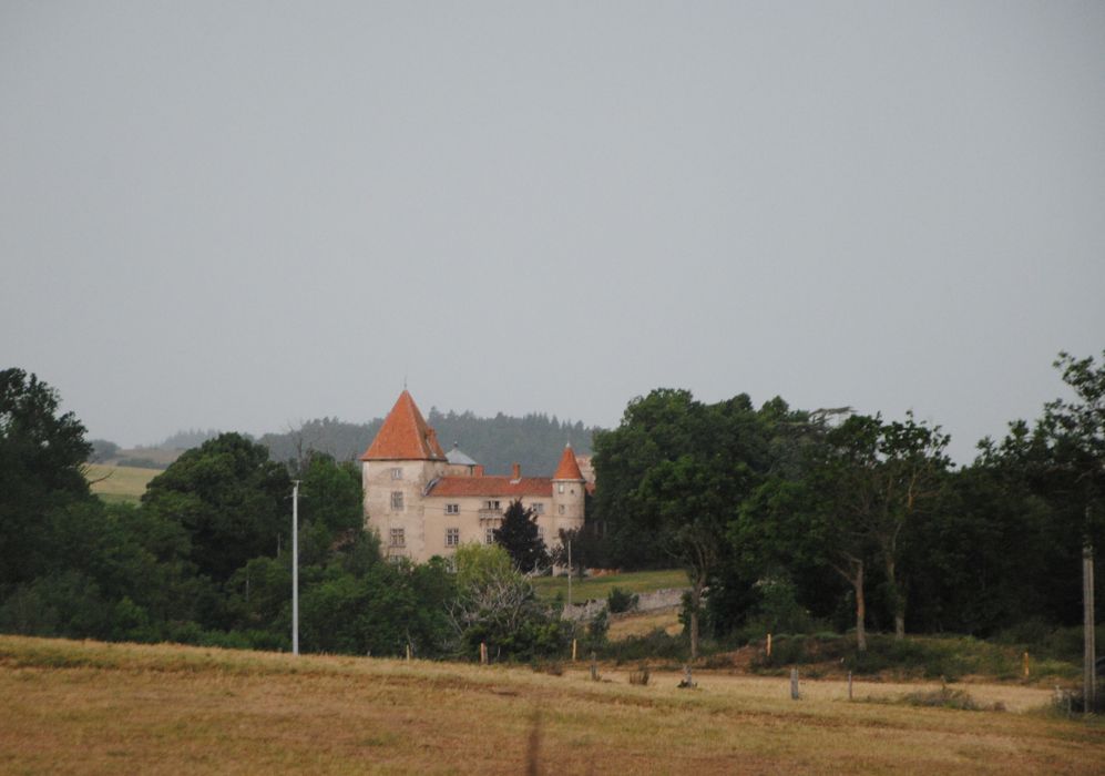 vue générale du château dans son environnement depuis l’Est