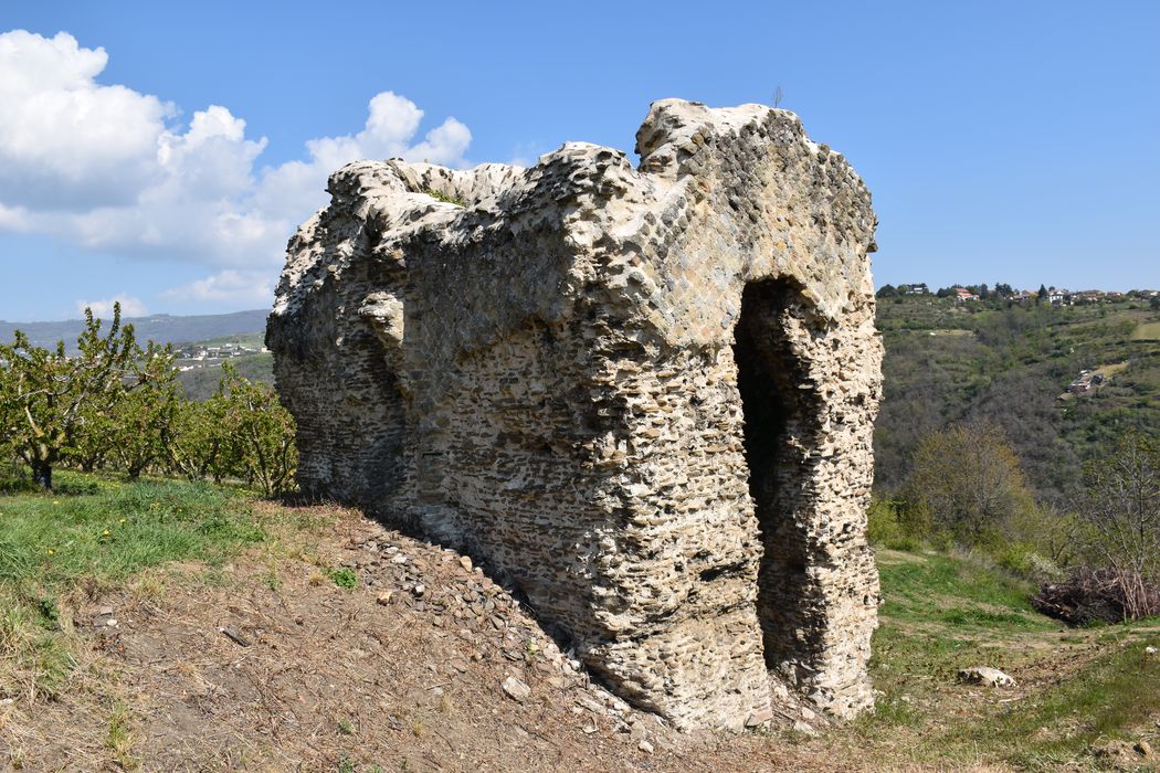 vue générale des vestiges