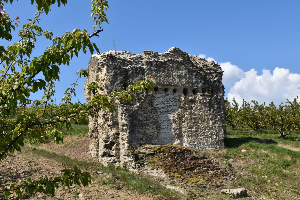 vue générale des vestiges