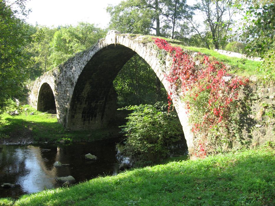 vue générale du pont dans son environnement