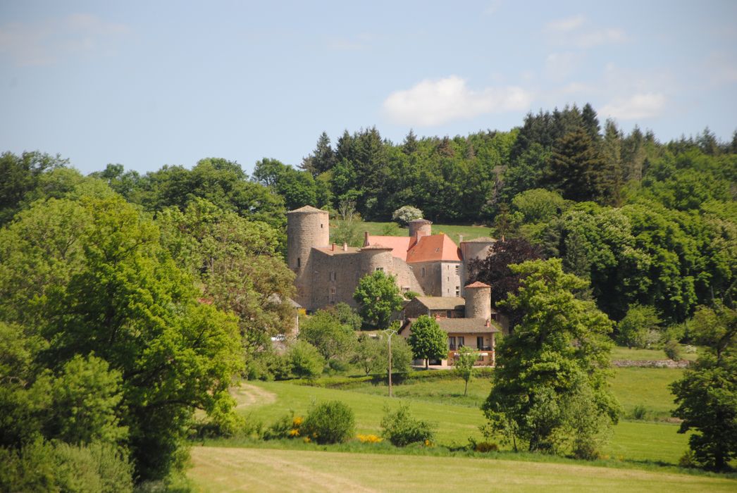 vue partielle du château dans son environnement depuis le Sud