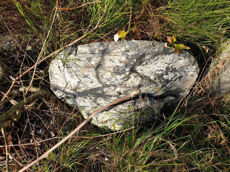 Vue partielle du dolmen