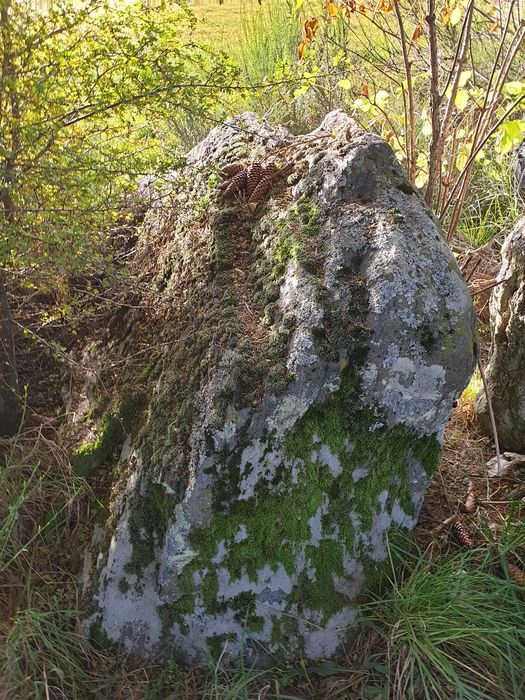 Vue partielle du dolmen