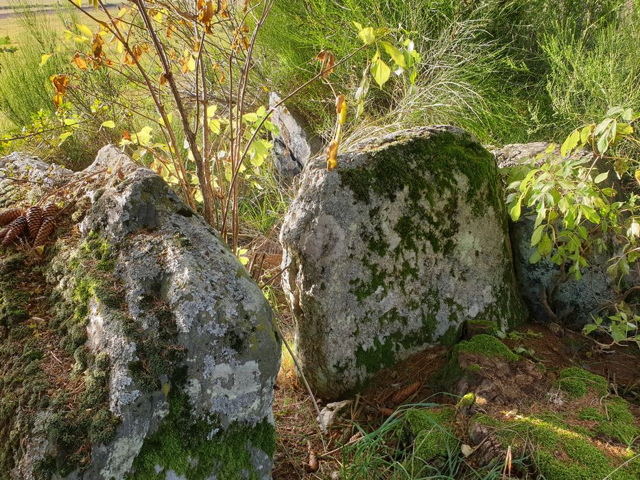 Vue partielle du dolmen