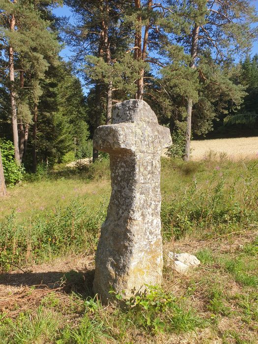 Croix-menhir de Mendigoules