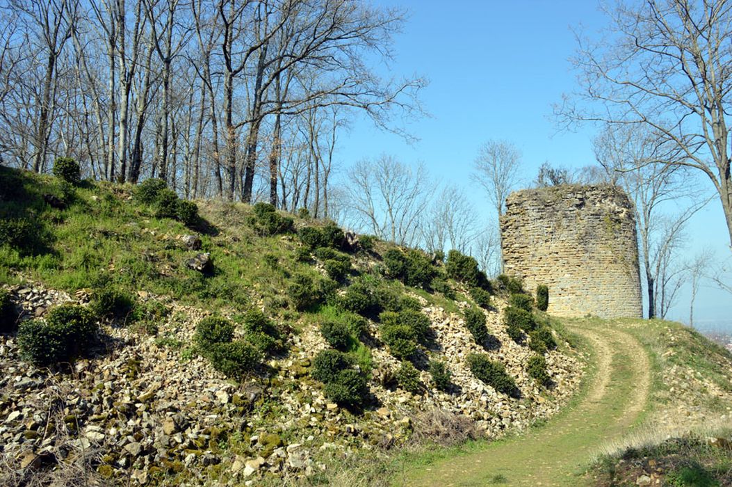 basse cour, tour nord-est