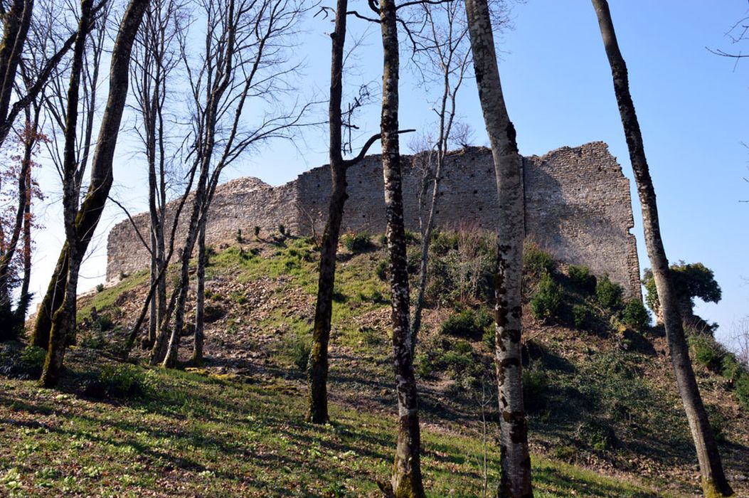 haute cour, vue générale des vestiges