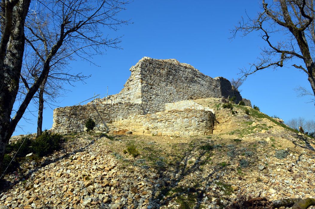 haute cour, vue générale des vestiges