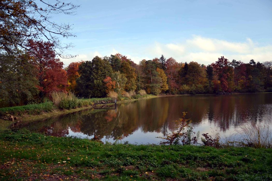 parc, vue partielle