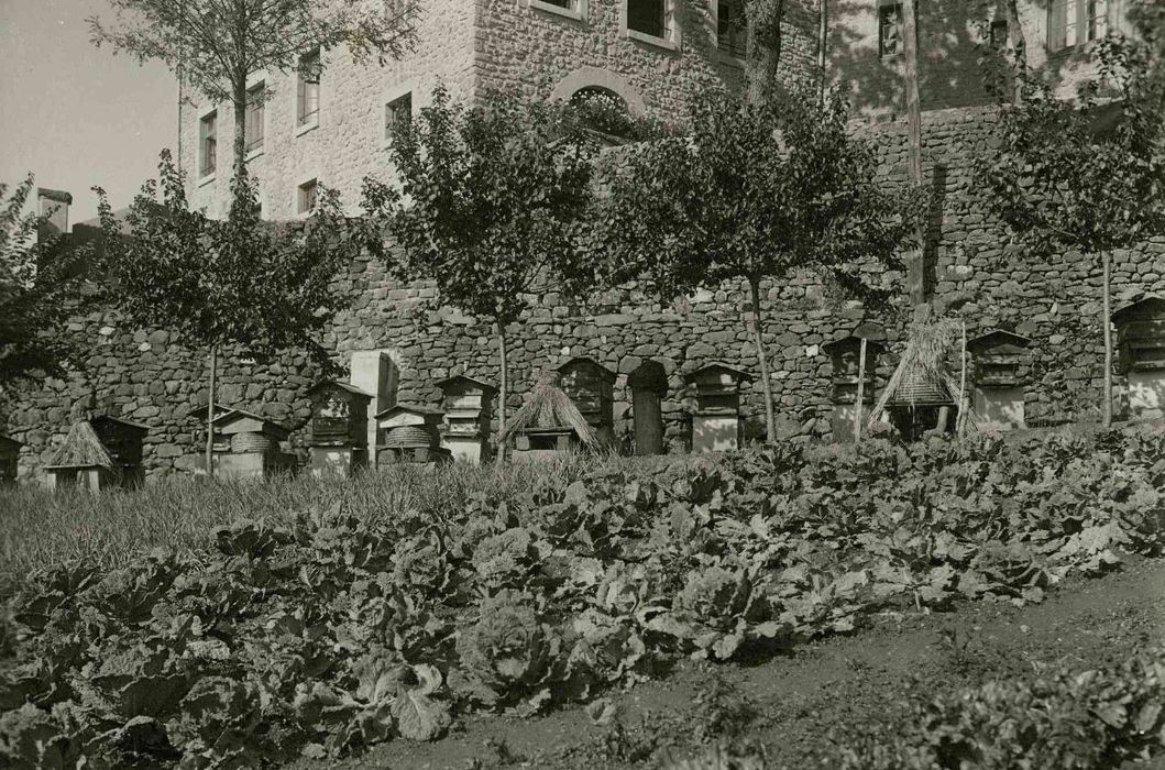 potager, vue partielle