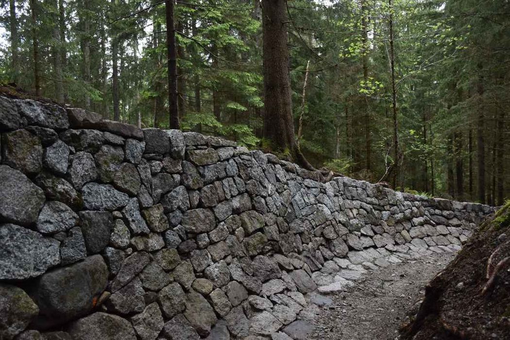 vue partielle de la piste, virage des Myrtilles