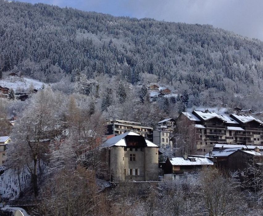 vue générale du château dans son environnement depuis l’Ouest