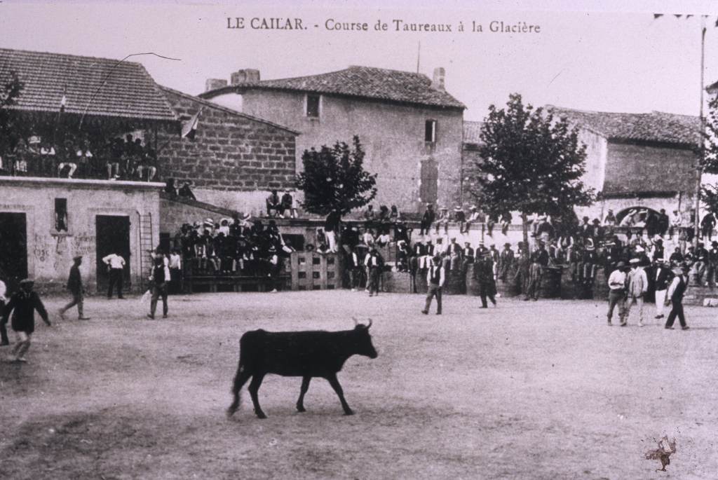 Arènes, carte postale ancienne,.