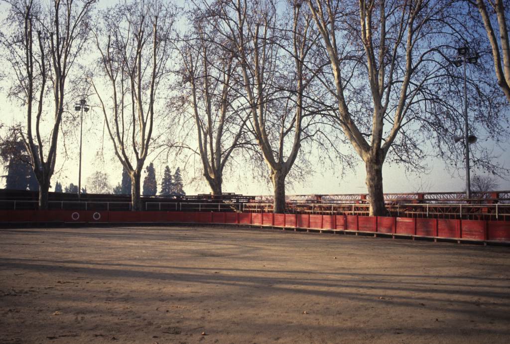 Arènes, piste et platanes.