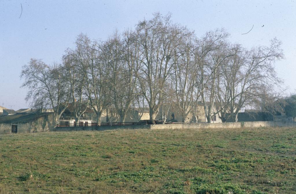 Arènes, vue générale.