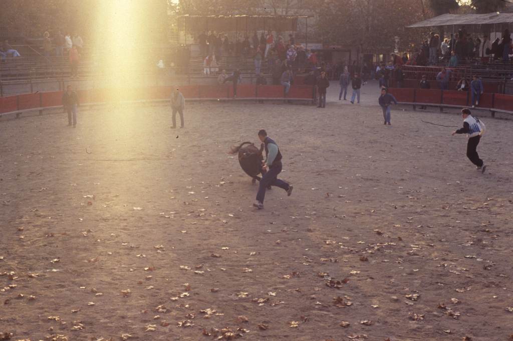 Arènes, jeu avec le taureau.