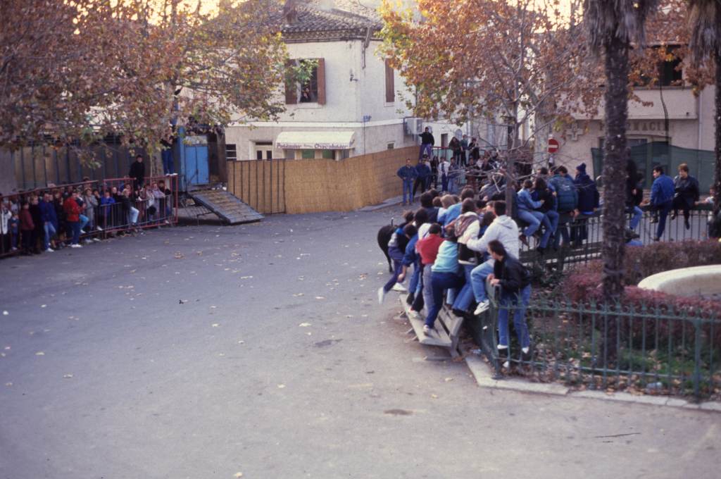 Encierro dans le bourg.