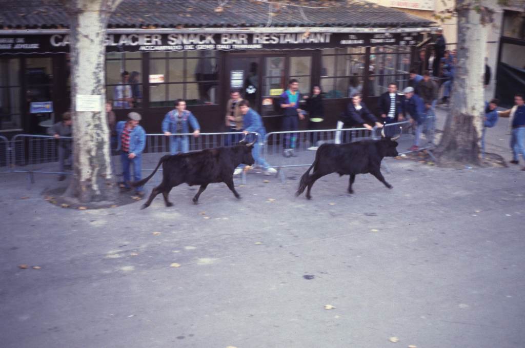 Encierro dans le bourg.