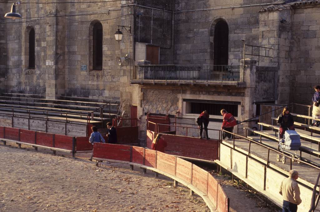 Arènes, présidence et barrières.