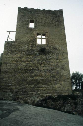 Vue extérieure du donjon.