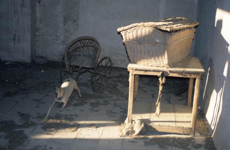 Intérieur. Jouet. Cheval et voiture en osier.