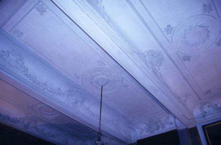 Salon. Plafond. Gypseries.